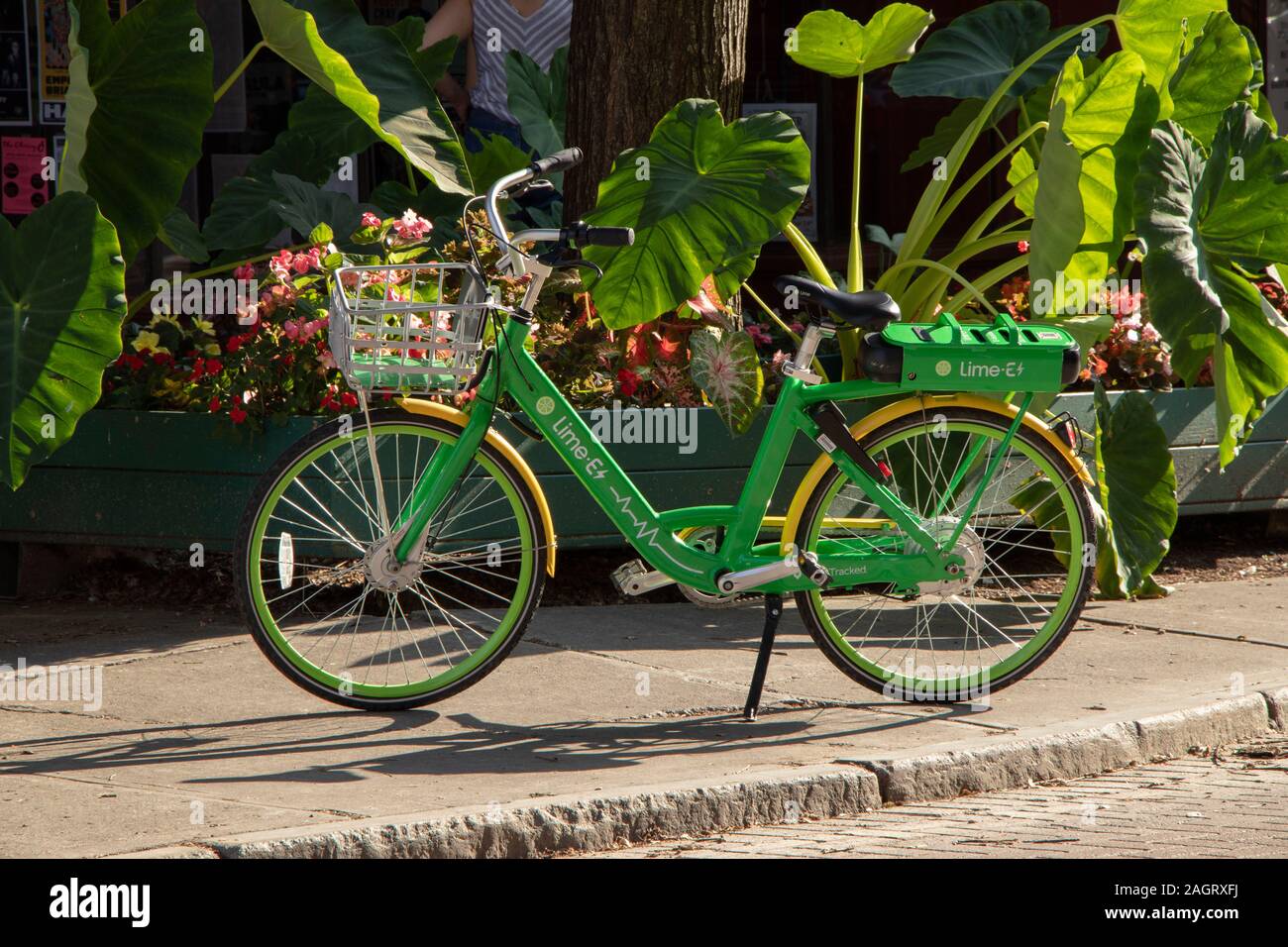 July 27, 2019 Ithaca, Finger Lakes, NY LimeBikes parked on W State