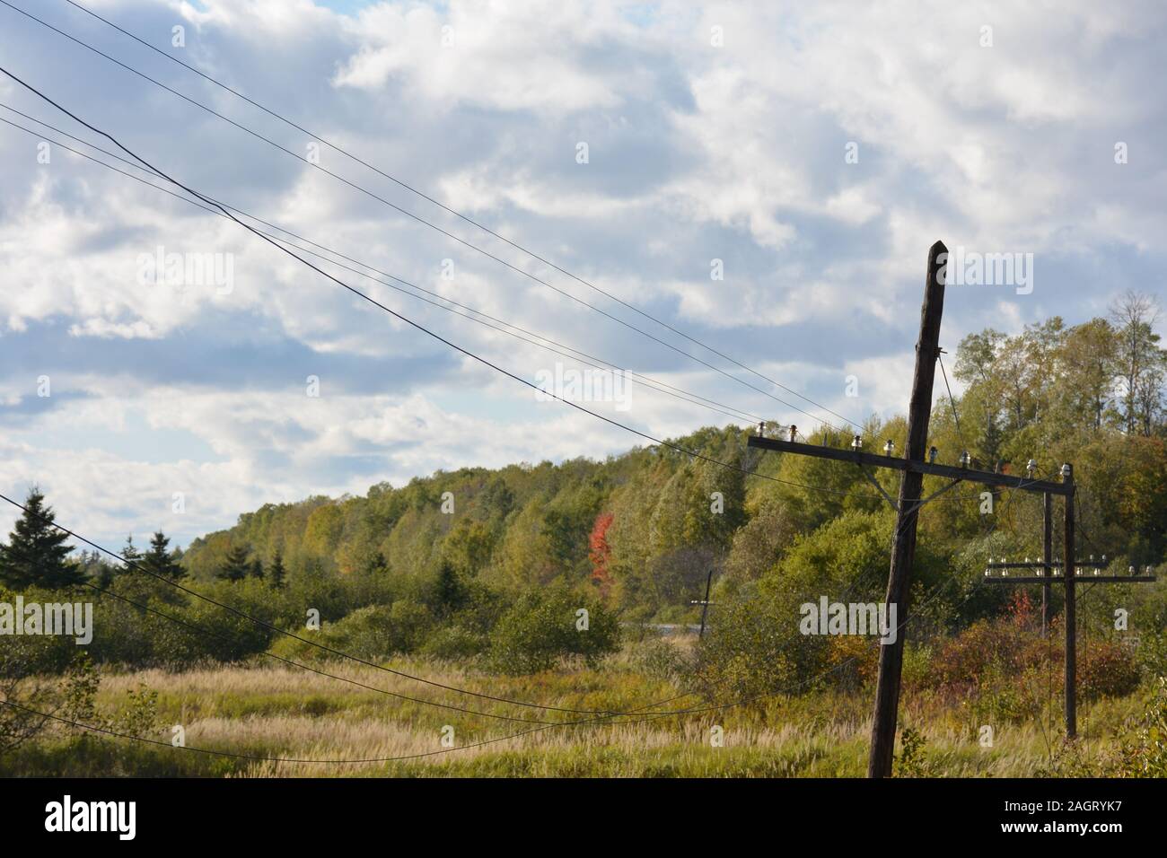 Leaning utility pole in autumn in country Stock Photo Alamy