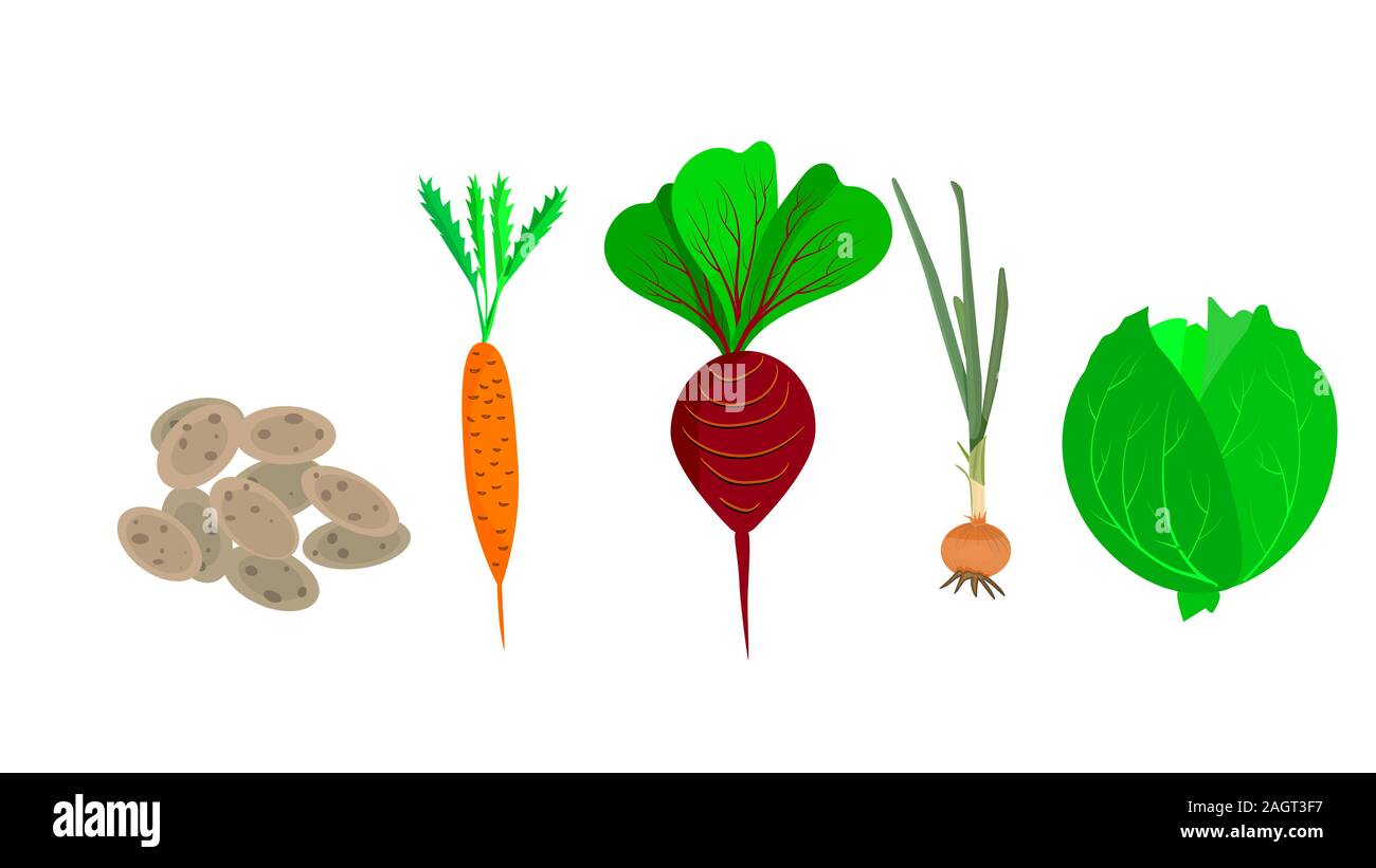 Vegetables isolated on white background. Set of cartoon vegetables. Potato, carrot, beetroot, onion and cabbage. Eco farm. Stock vector illustration. Stock Vector