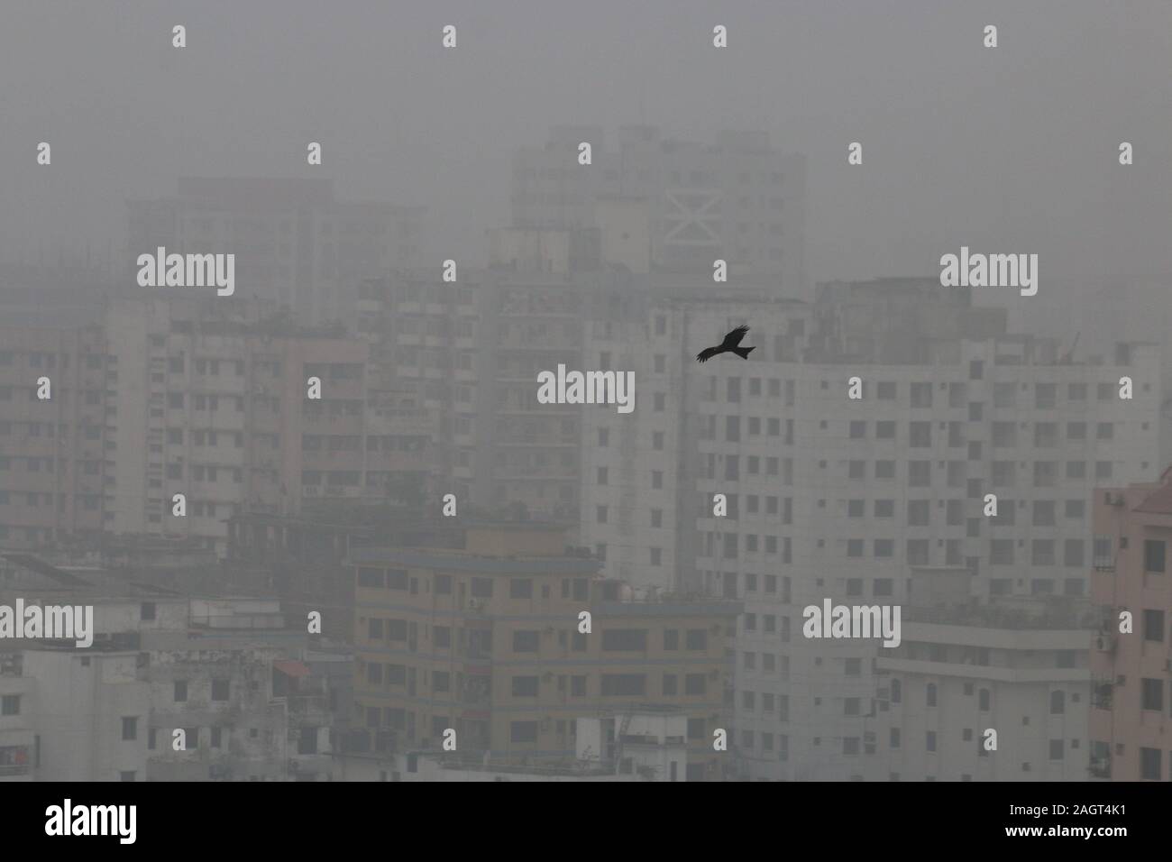 Dhaka, Bangladesh. 22nd Dec, 2019. A bird flies in a foggy weather during a cold wave in Dhaka.A biting cold spell continues to sweep across northern Bangladesh and a few other parts of the country although mercury readings point to an end to a cold wave. Credit: Sultan Mahmud Mukut/SOPA Images/ZUMA Wire/Alamy Live News Stock Photo