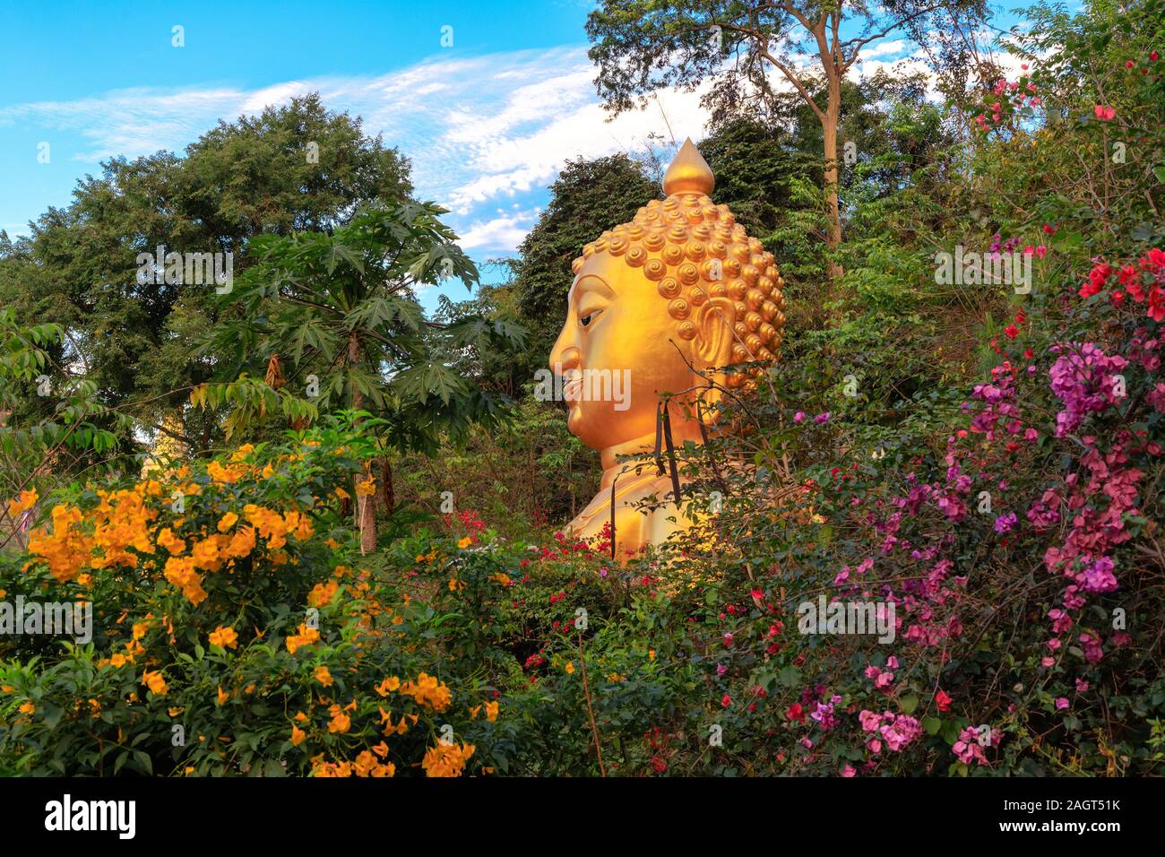 Golden Buddha statue of the Wat Phra That In Kwaen temple at sunset with colorful flowers, Phrae province, Thailand Stock Photo