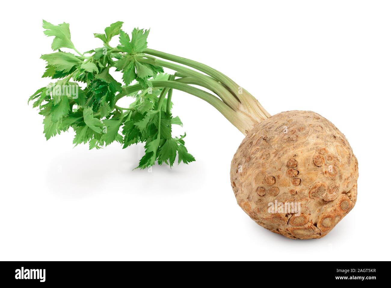 Fresh celery root with leaf isolated on white background. Stock Photo