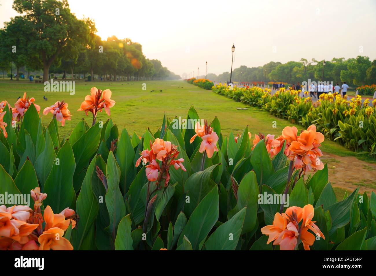 Beautiful flowers, plants and trees in a park Stock Photo - Alamy