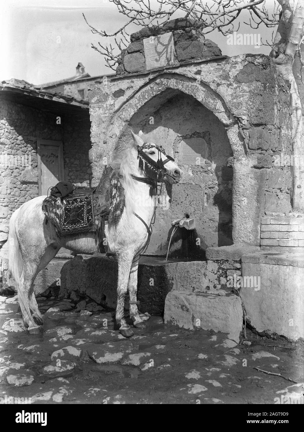 Turkey Ottoman Empire. Horse with traditional decorated saddle and bridle standing at a fountain called Menzil. These Menzils were located outside settlements and served caravans, travellers,  farmers and their beasts. The fountains had inscriptions in verses, with the last line giving information about the construction date, either directly or in Ebced calculation. Copy from a dry glass plate, originating from the Herry W. Schaefer collection. Stock Photo