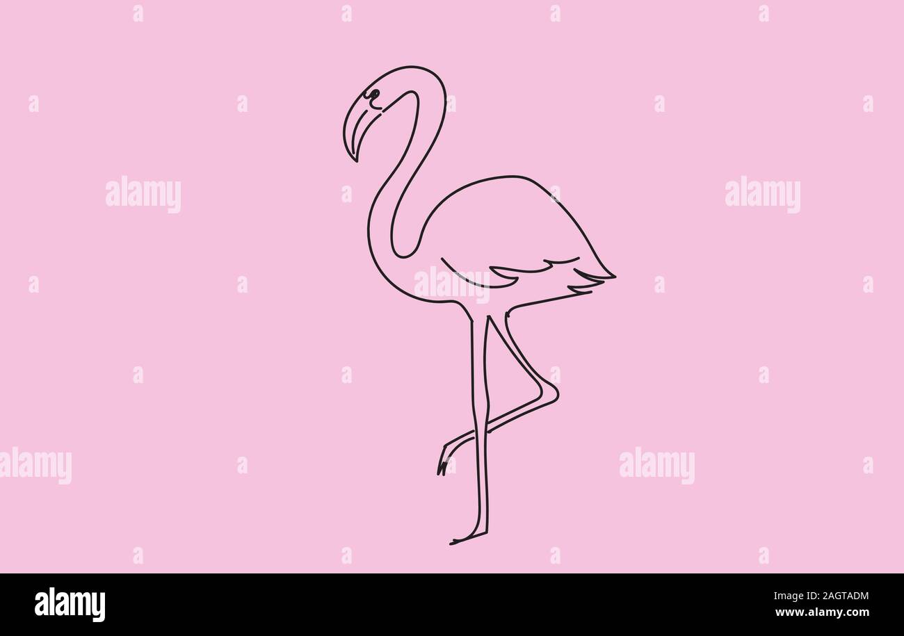 Flamingo - Drawing Skill
