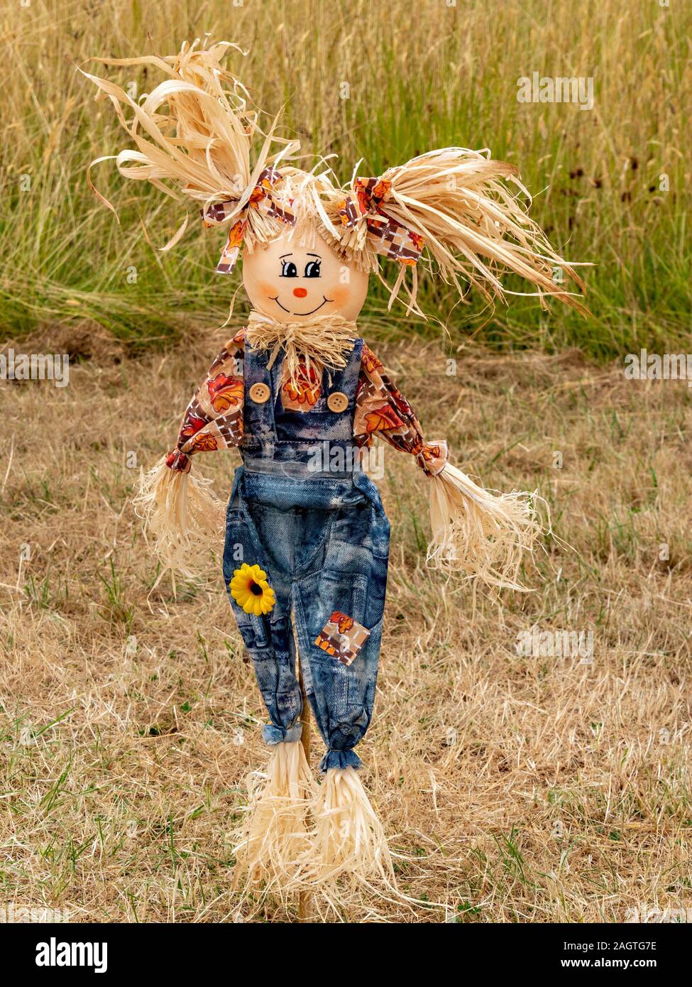 Colourful corn dolly / scarecrow / straw doll in cut grass field in Summer, England, UK. Stock Photo