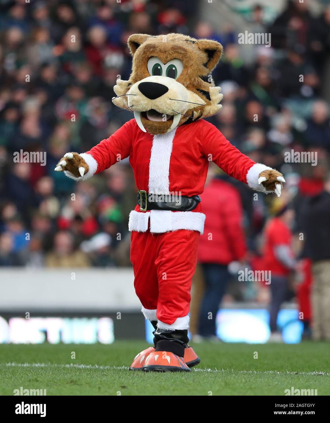 21.12.2019   Leicester, England. Rugby Union.                   Welford the Tigers Mascot in Father Christmas outfits on pitch side before the Gallagher Premiership round 6 match played between Leicester Tigers and Exeter Chiefs at the Welford Road Stadium, Leicester.  © Phil Hutchinson/Alamy Live News Stock Photo