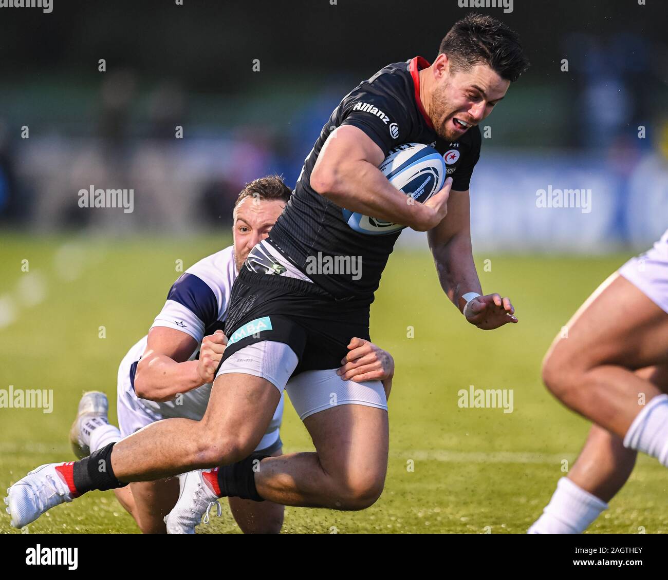 Bristol bears hi-res stock photography and images