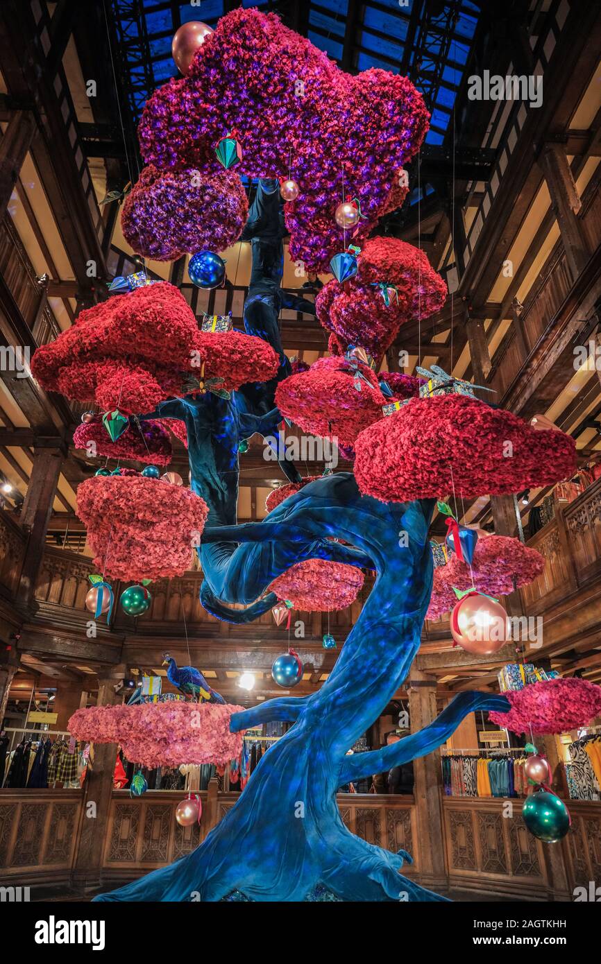 Bonsai tree hi-res stock photography and images - Alamy