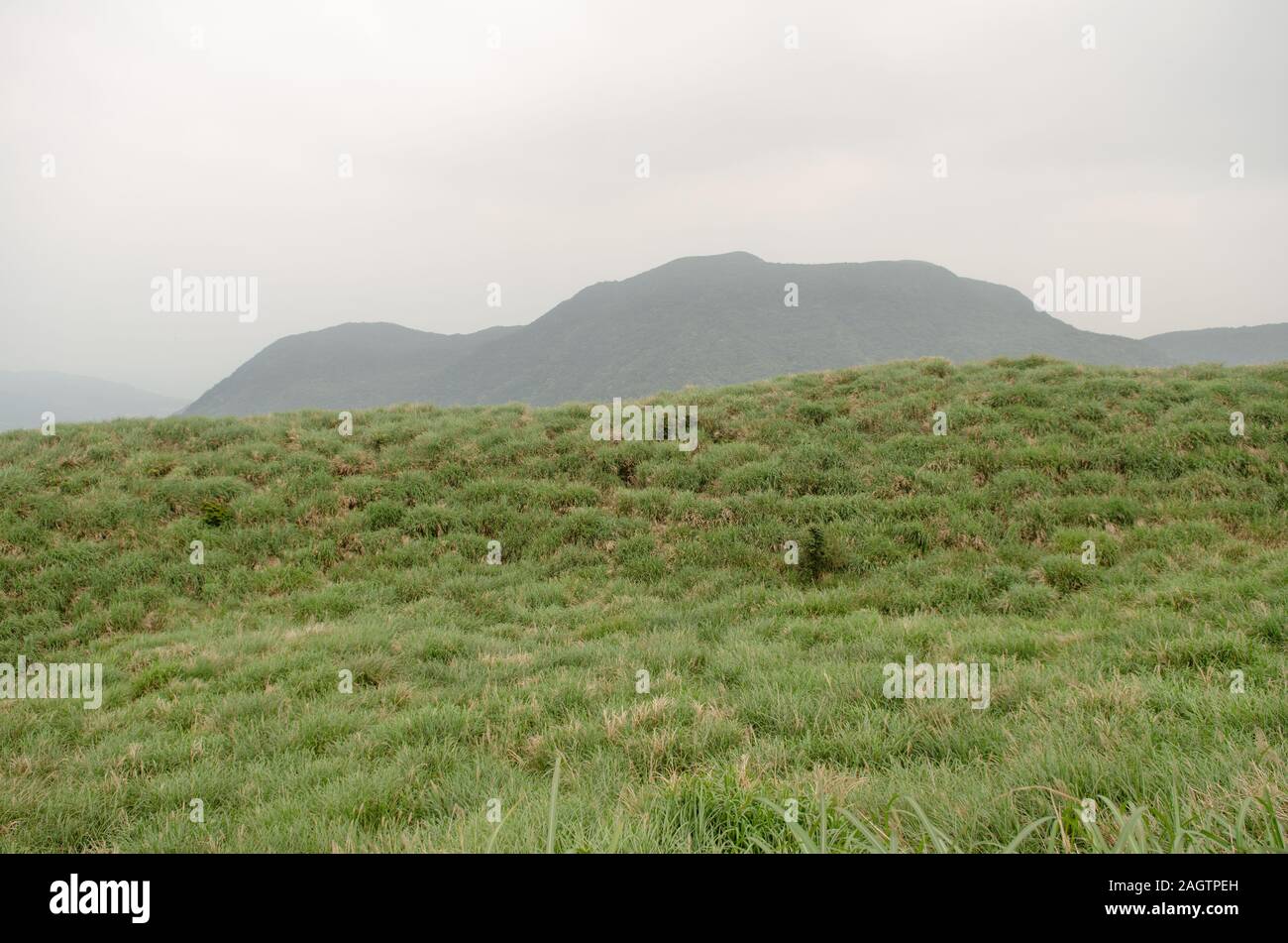 A hilly landscape with lush green grass at Yangmingshan National Park in Taiwan, March 2019 Stock Photo