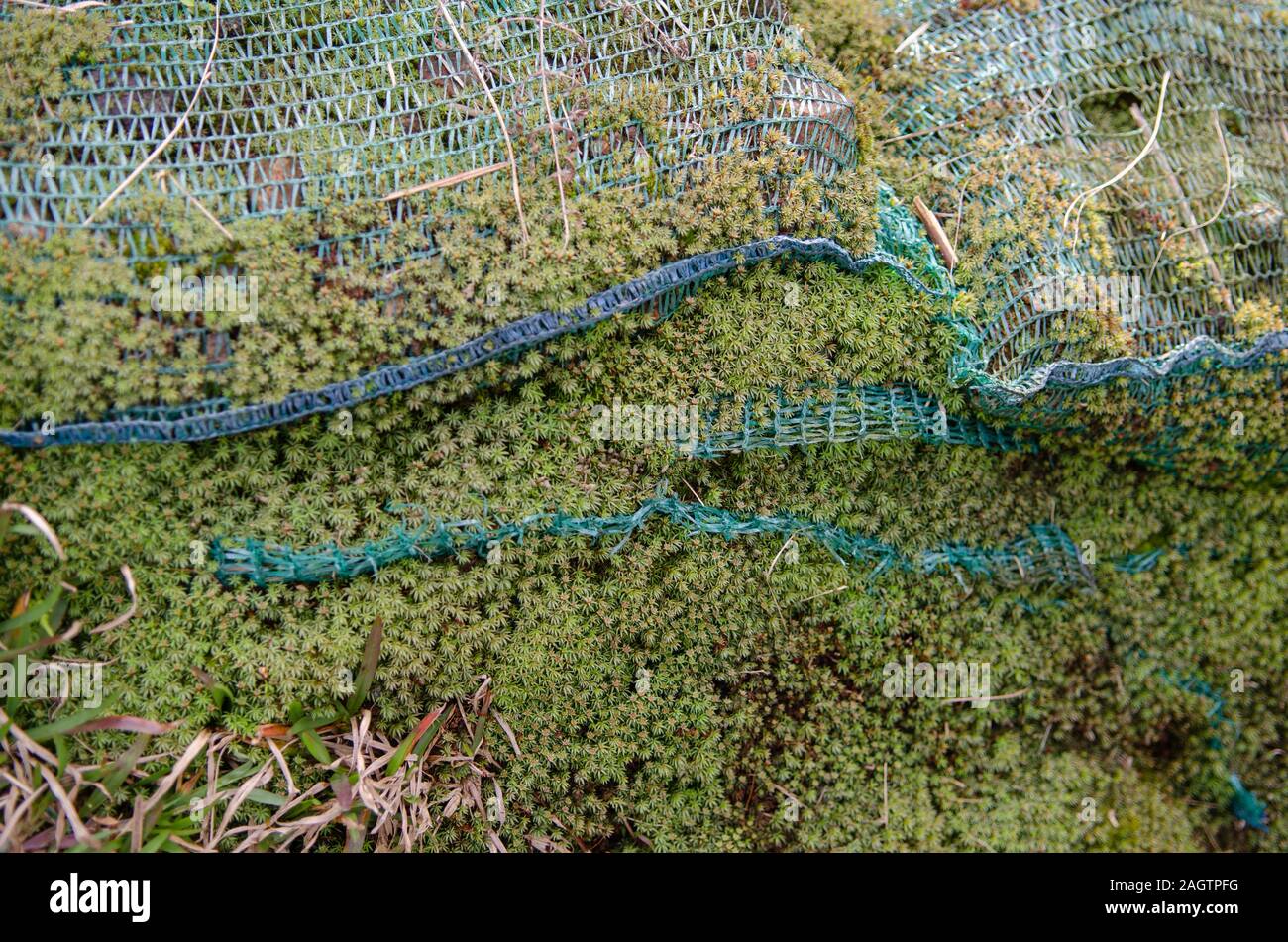 Erosion control netting keeps soil from falling down a steep slope