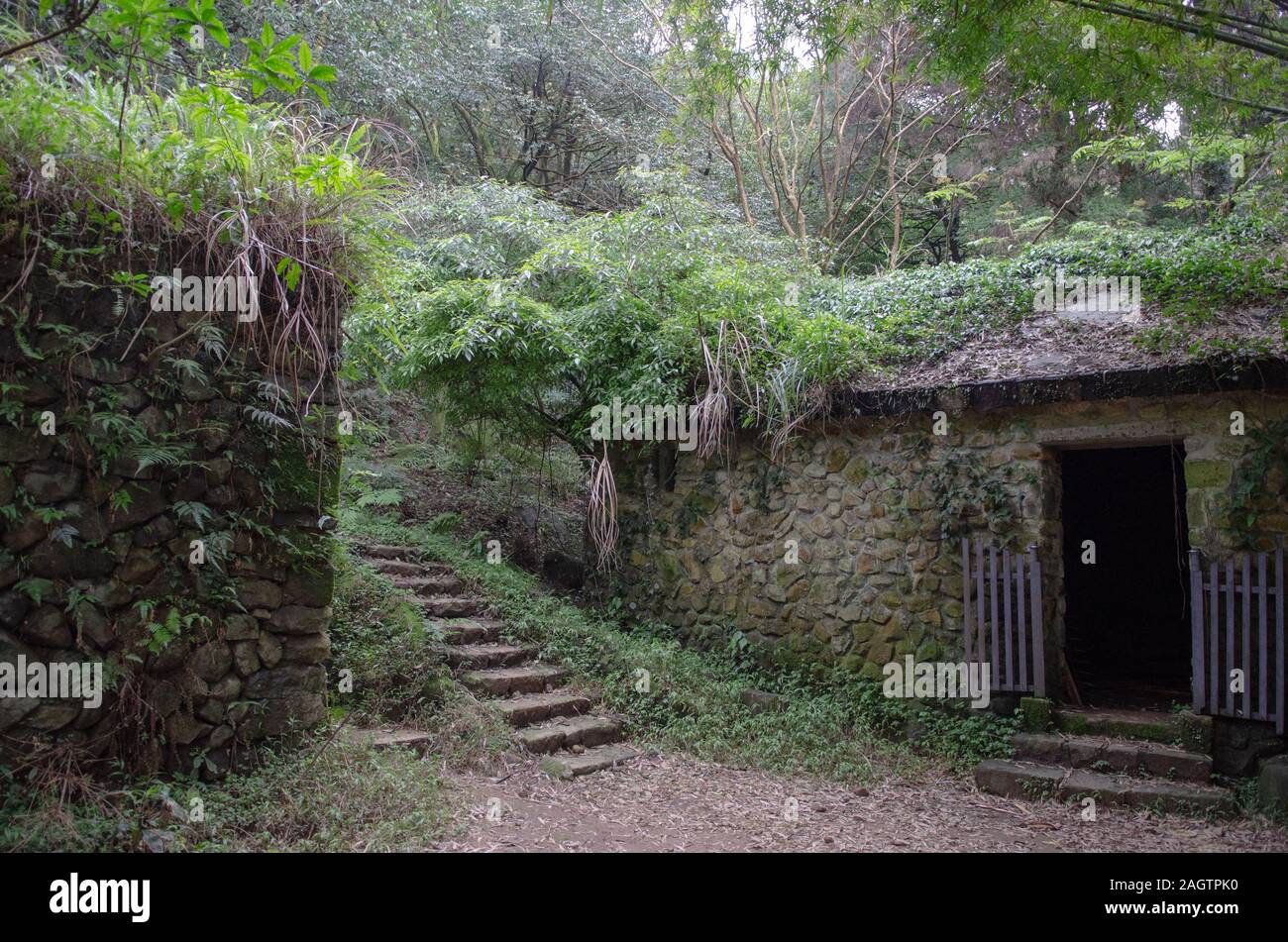 A old stone house is no longer in use and overgrown with plants in Yangmingshan National Park ( 陽明山國家公園 ) in Taiwan Stock Photo