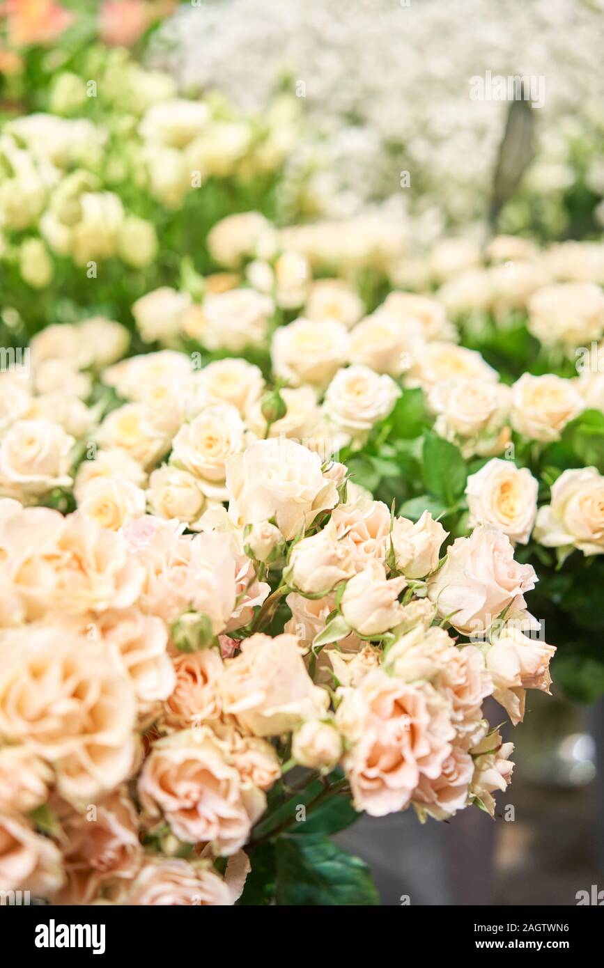 Vases With Different Colored Flowers Showcase Flower Shop