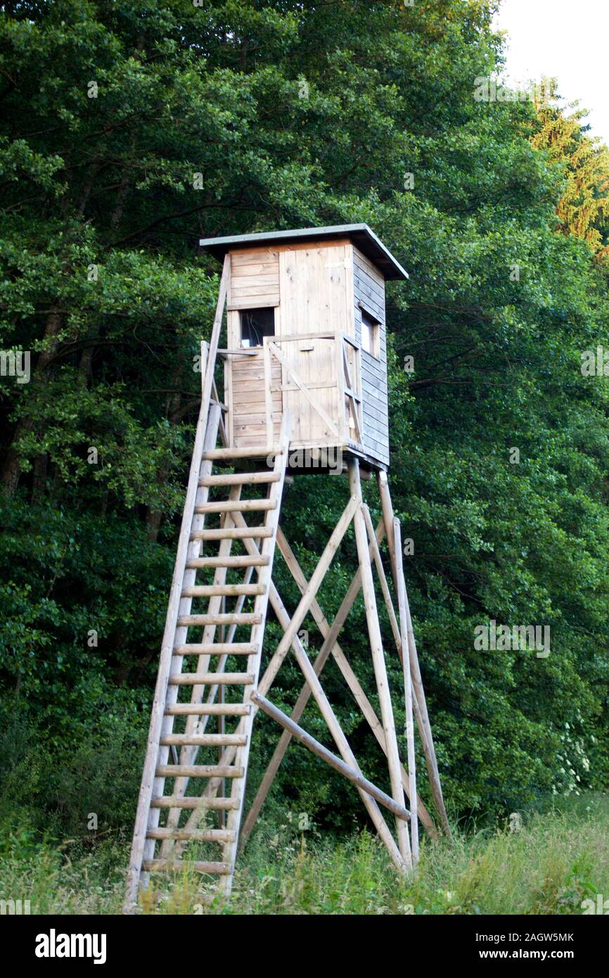 Tree stand, deer stand for  hunters in forest Stock Photo