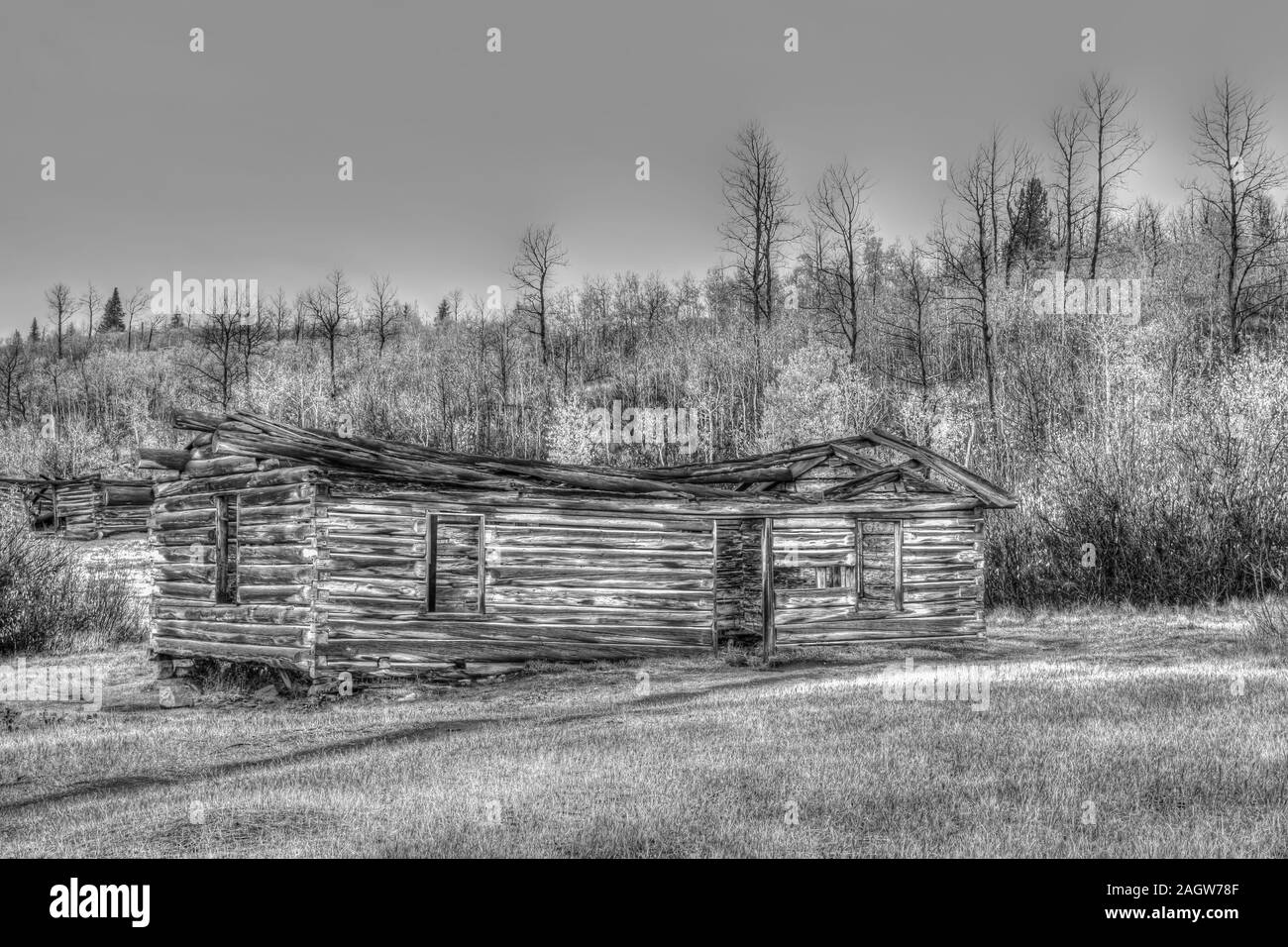Black And White Old Log Cabin In Jackson Wyoming Stock Photo
