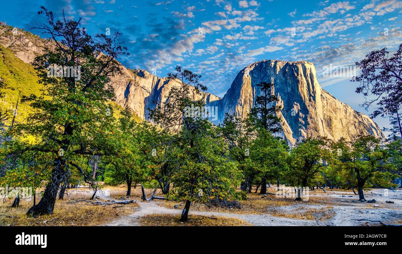 Sunrise over the large granite El Capitan rock under colorful sky. Viewed from Yosemite Valley in Yosemite National Park, California, United States Stock Photo