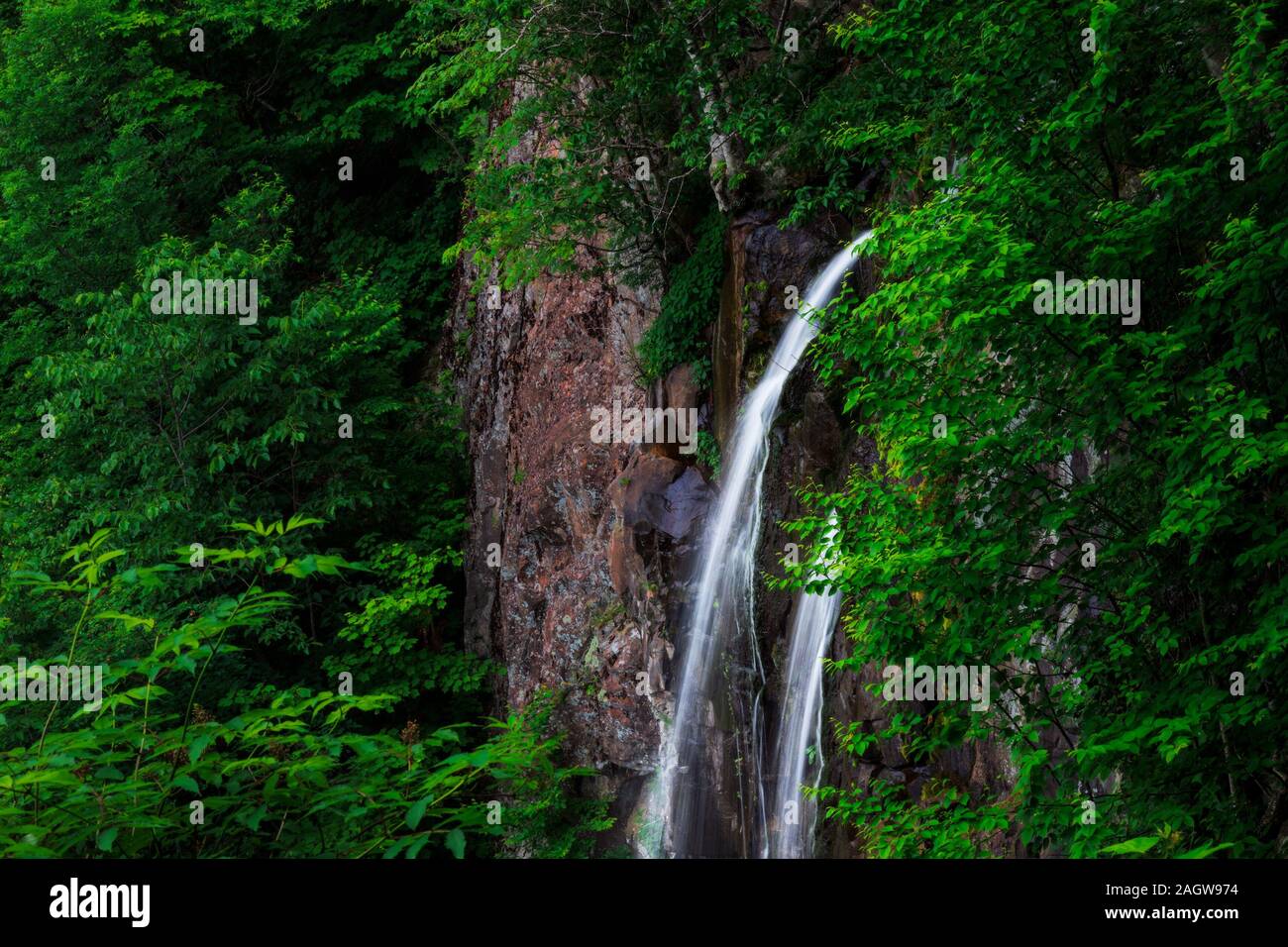 Beautiful Lewis Spring Falls pouring over a rocky cliff surrounded by ...
