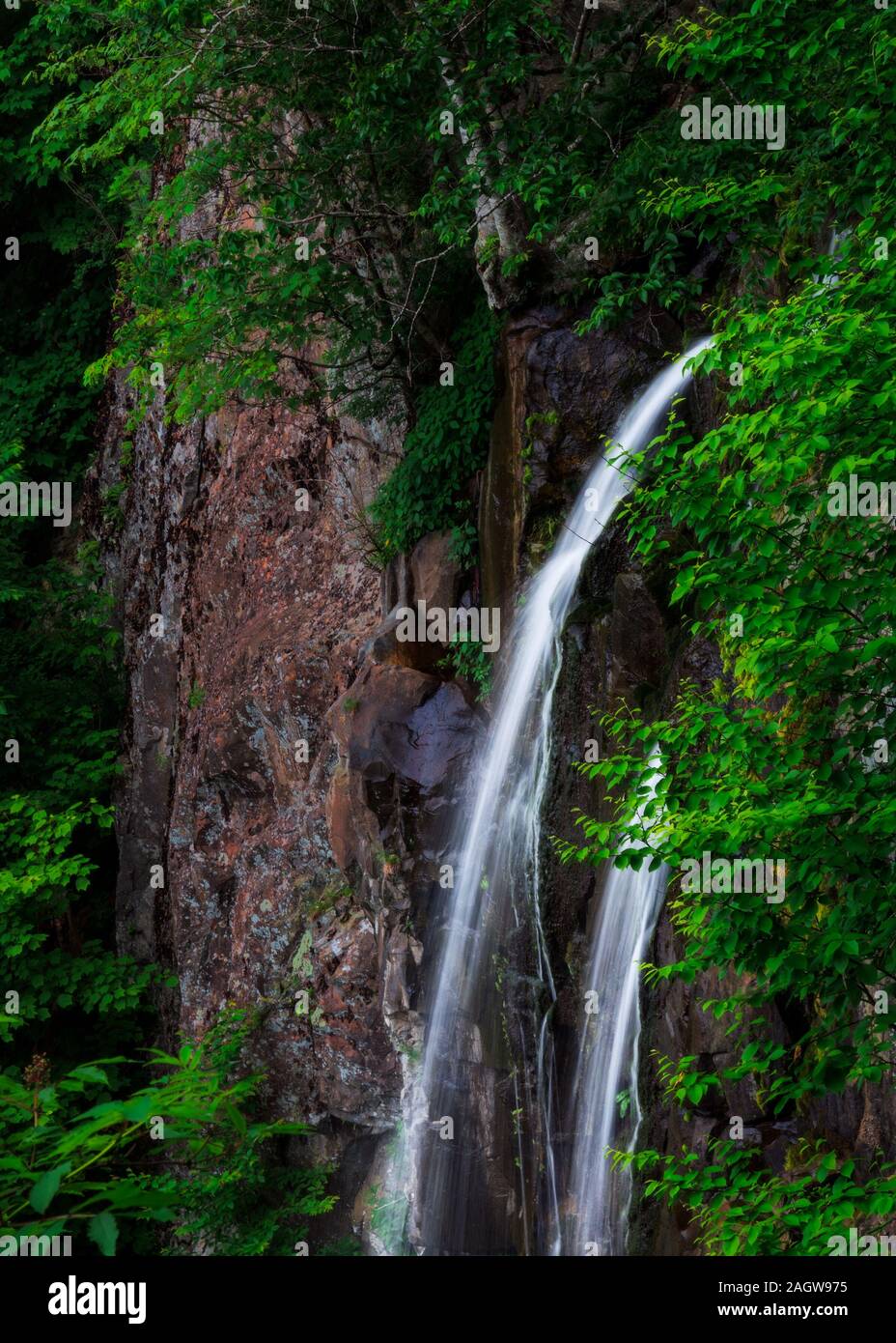 Beautiful Lewis Spring Falls pouring over a rocky cliff surrounded by ...