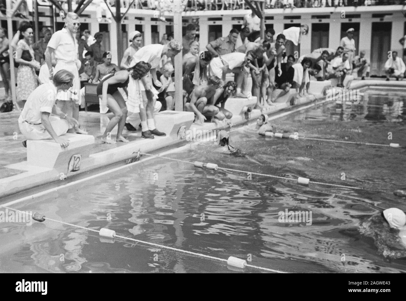 1940 Young Boys Diving & Swimming in Pool PHOTO 175-p 