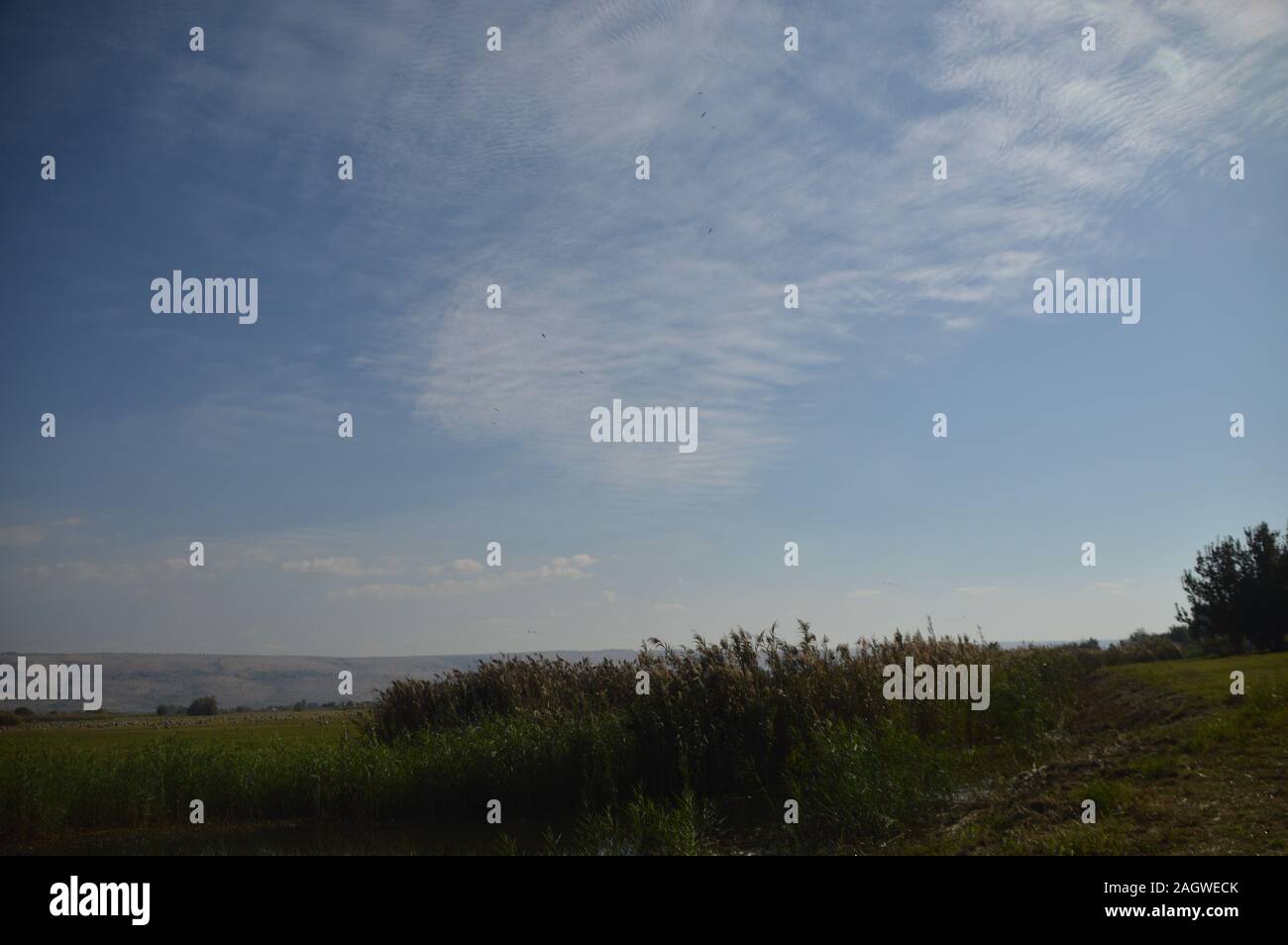 The beauty of nature Stock Photo - Alamy
