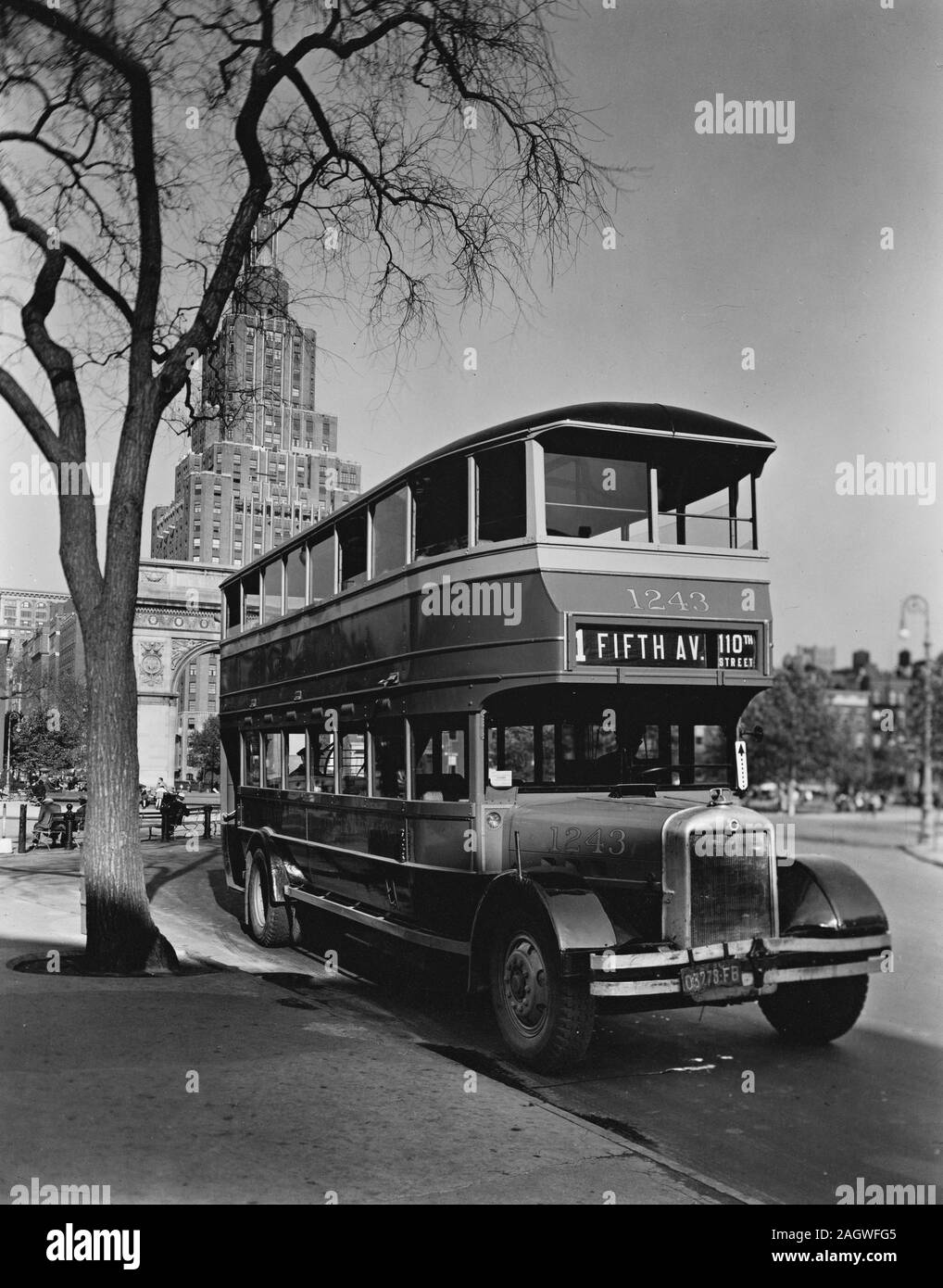 Double-decker bus parked by tree in Washington Square, the arch and 1 Fifth Avenue (apartments) visible beyond. Stock Photo