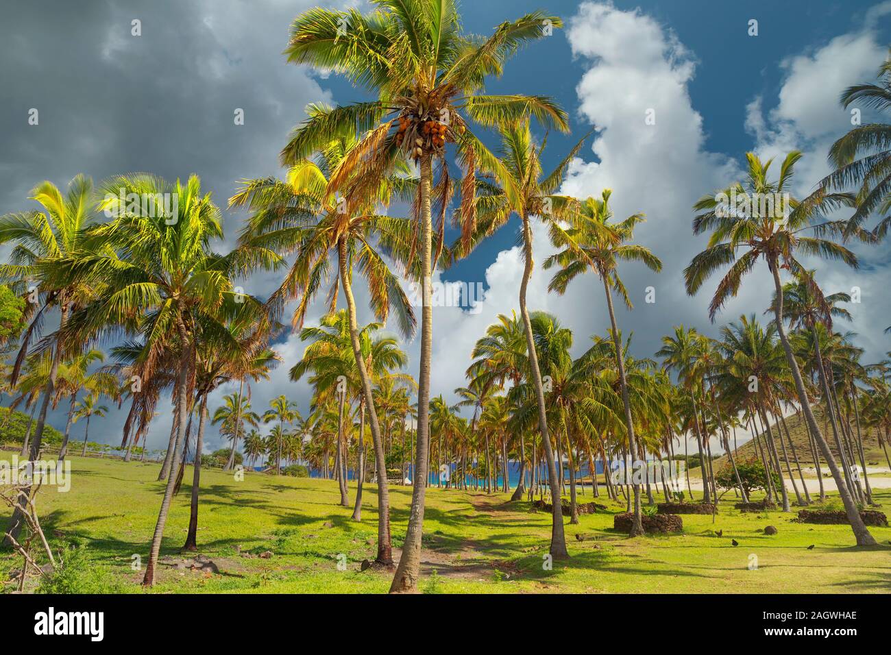 Beach Easter Island. scenic views of the ocean Stock Photo