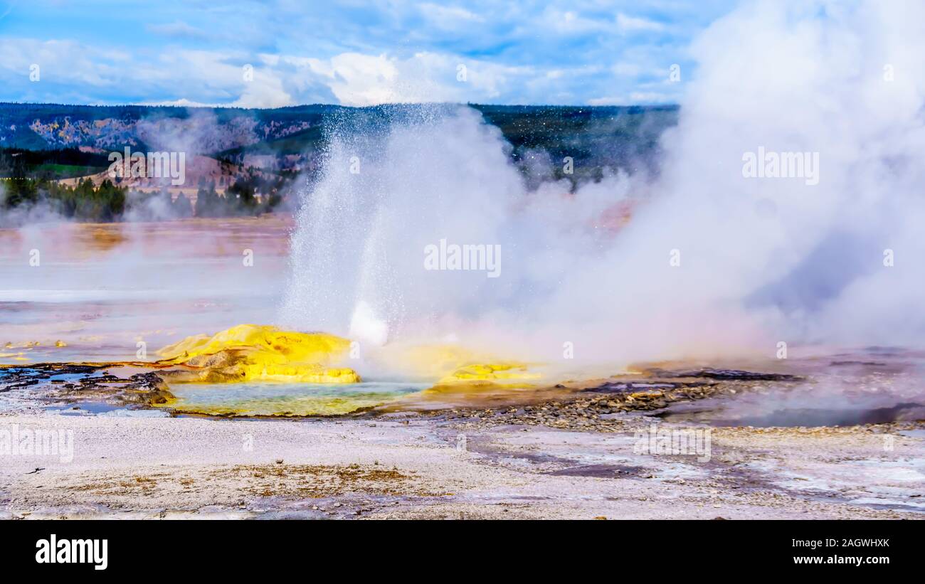 Spouting water of the active Jelly Geyser with its yellow sulfur mineral mount in the Lower Geyser Basin at the Fountain Paint Pot Trail, Yellowstone Stock Photo