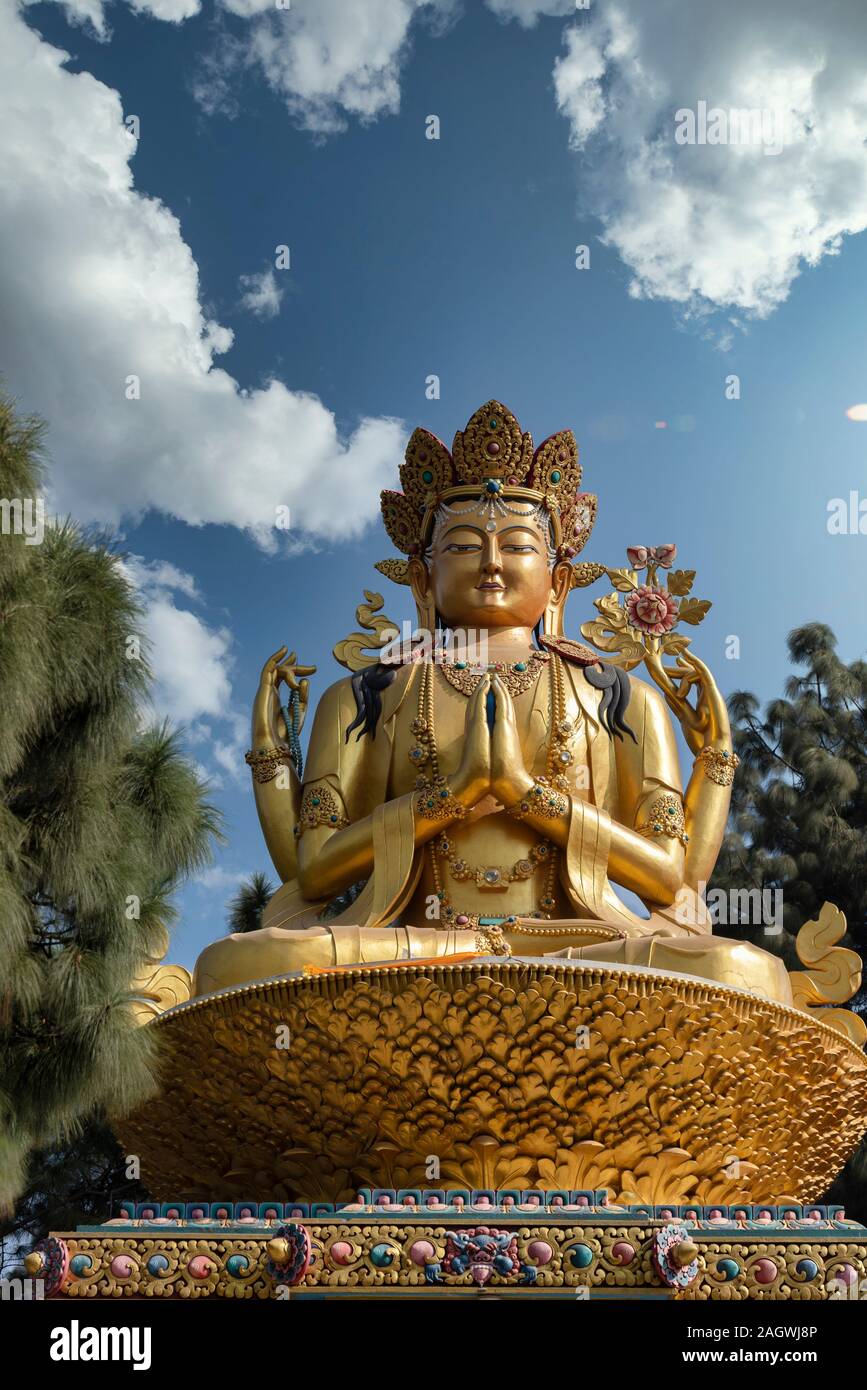 golden statue of Chenrezig stands in Kathmandu. Nepal Stock Photo Alamy