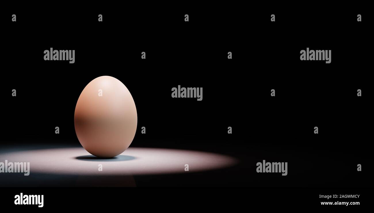 One Single Hen's Egg Spotlighted on Black Background with Copy Space 3D Illustration Stock Photo