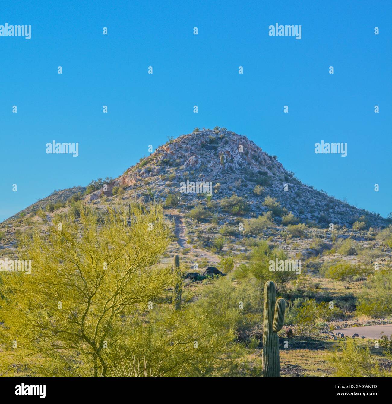 Discovery Trail in the Sonora Desert. Peoria, Maricopa County, Arizona