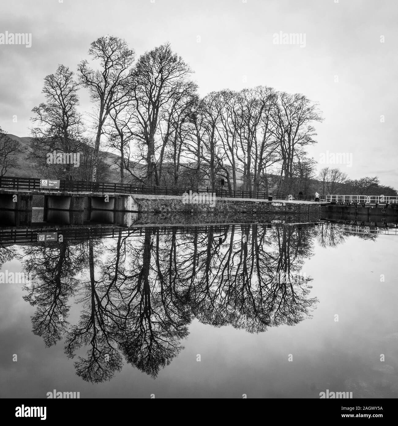 Reflections of Trees in Winter Stock Photo