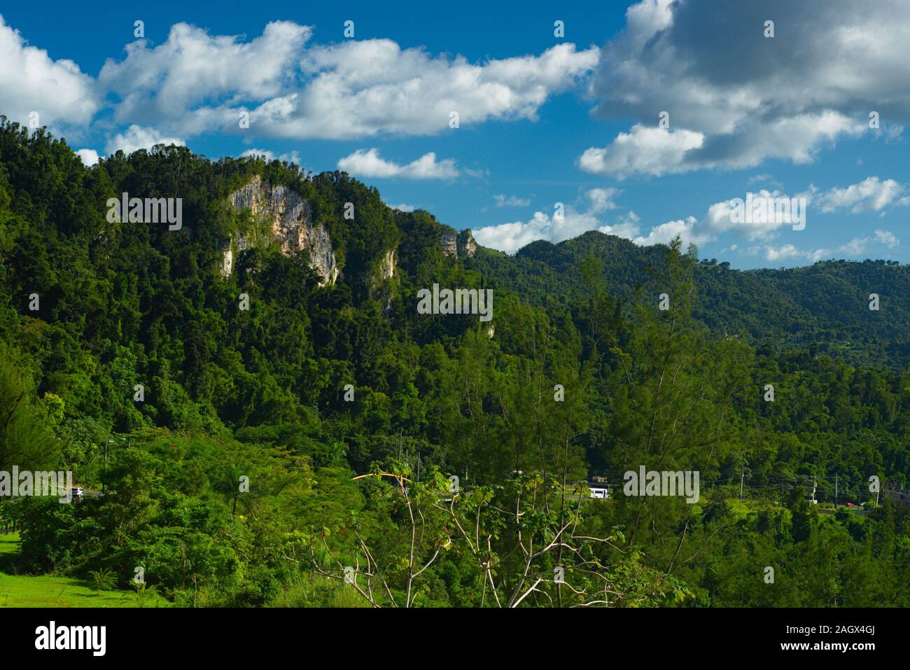 Welcome to Ciales Stock Photo
