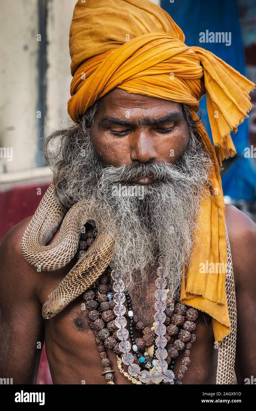 VARANASI, INDIA MARCH 18, 2017 Holy man holding dangerous cobra