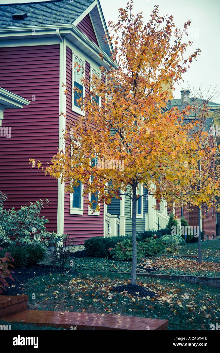 Traditional residential houses in German Village Neighborhood, Columbus