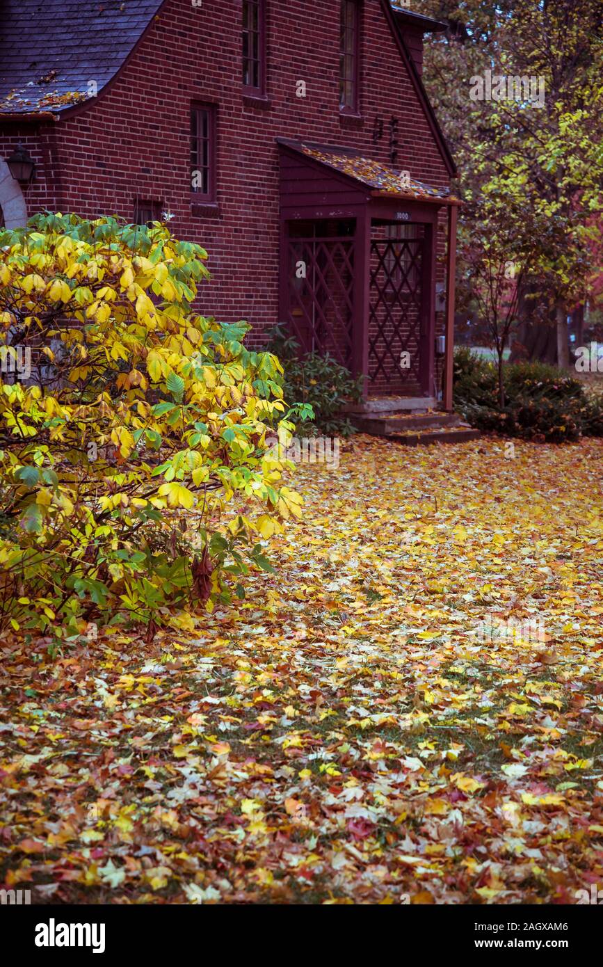 Schiller park hires stock photography and images Alamy