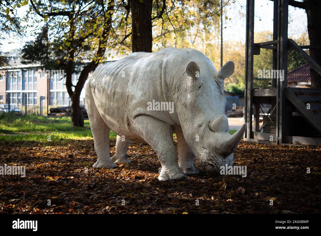 Statue off a white rhino or rhinoceros in the woodland Stock Photo