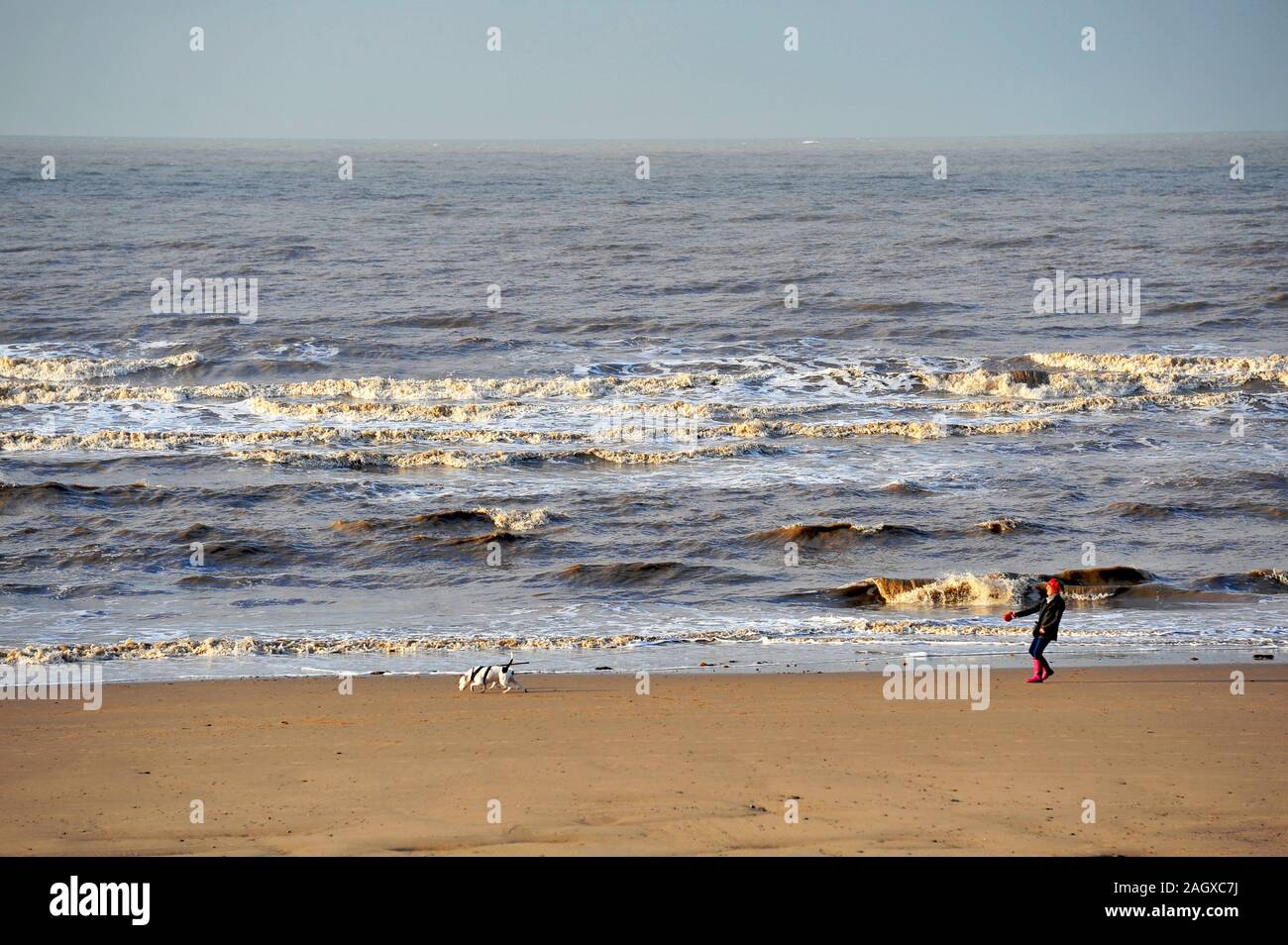 Women walking dog along beach at edge of sea in winter Stock Photo