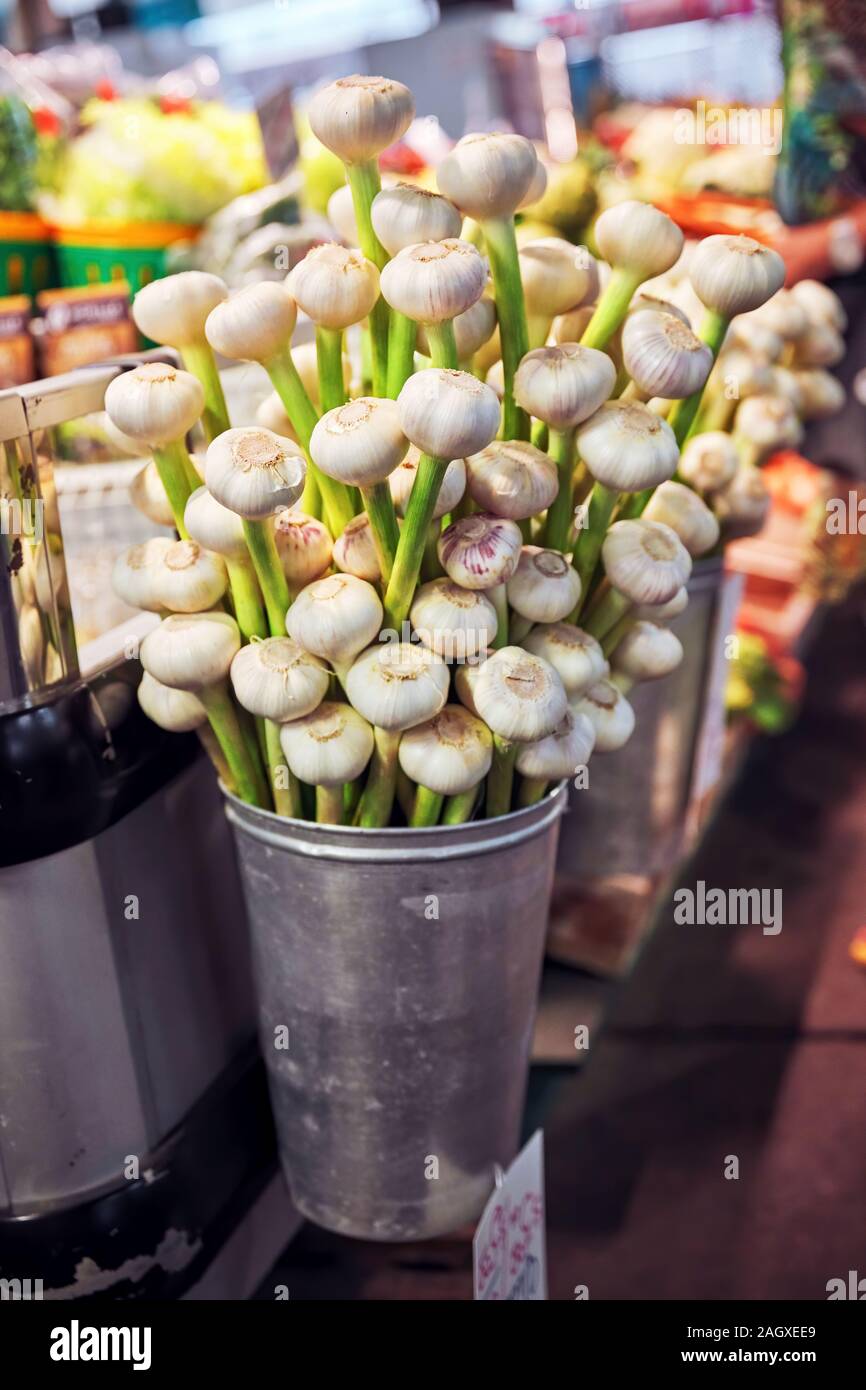 Fresh heap of garlic displayed in a bucket on the grocery market stall ...