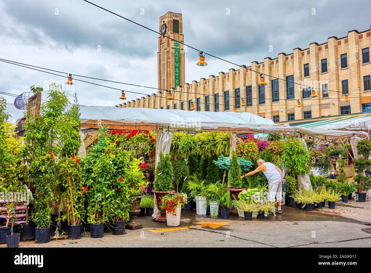 Outdoor flower shop hires stock photography and images Alamy