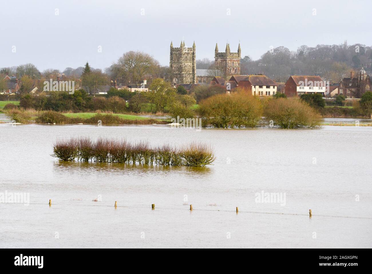 Flooded river stour at wimborne hires stock photography and images Alamy