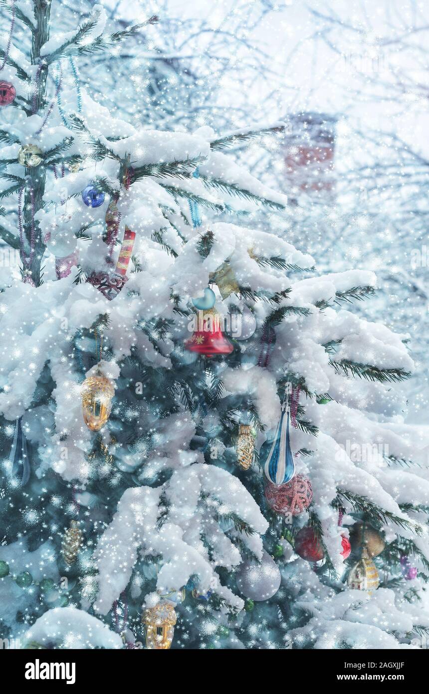 Decorated Christmas tree outdoors in the garden. Stock Photo