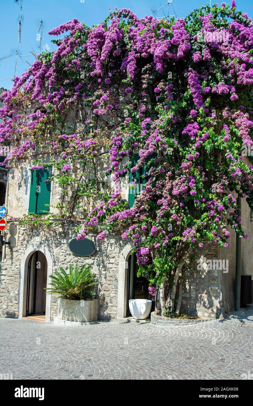 Sirmione ist eine italienische Ortschaft am Südufer des Gardasees und gehört zur Provinz Brescia in der italienischen Region Lombardei. Stock Photo