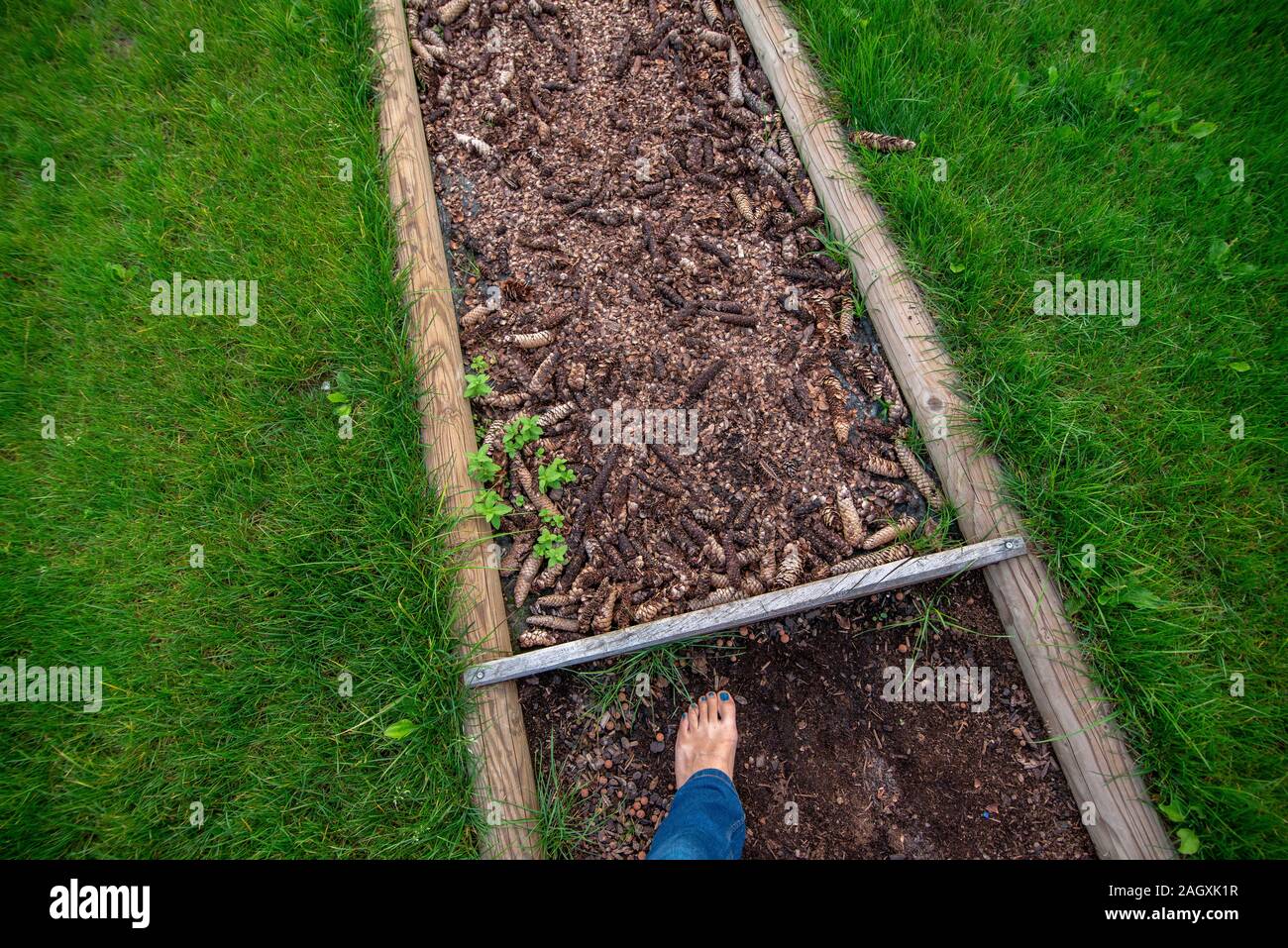 Kneipp barefoot path Stock Photo