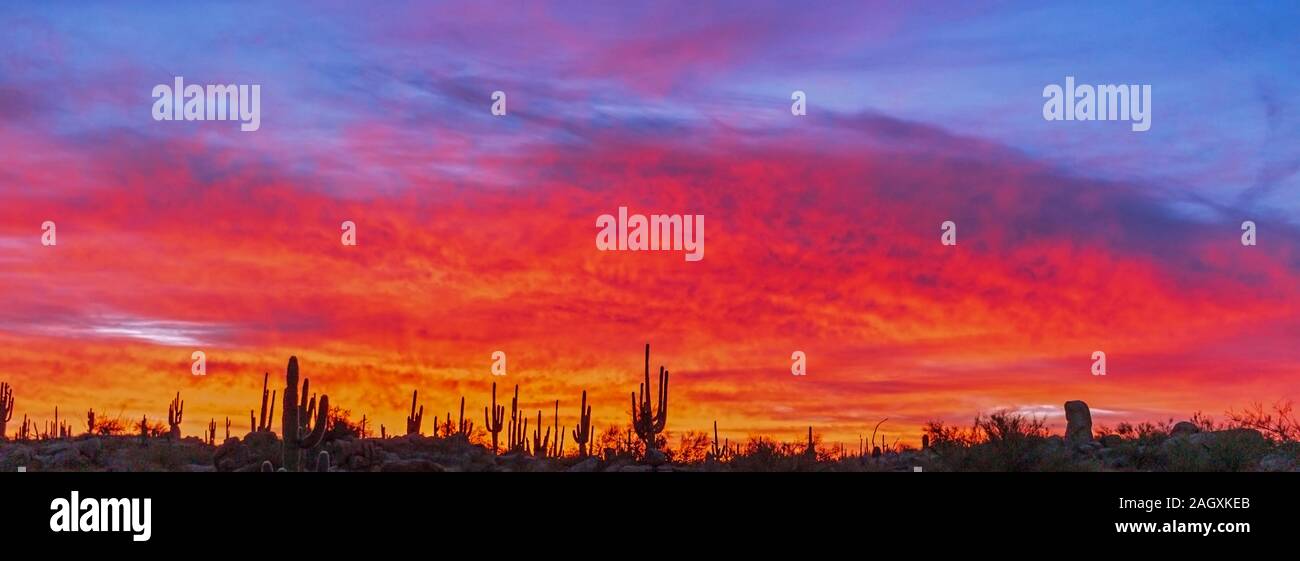 A Wide Angle view Of a Vibrant & colorful Arizona Desert Sunise Landscape Stock Photo