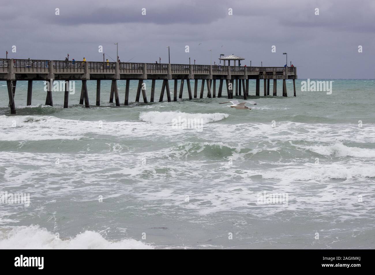 Dania beach pier hires stock photography and images Alamy
