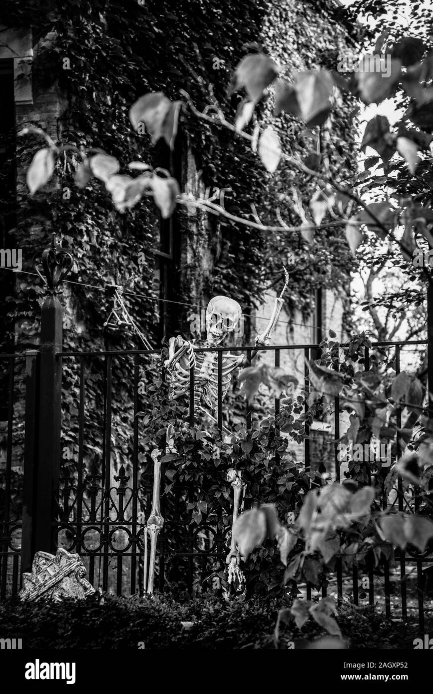 Halloween decoration in a garden, Wicker Park, Chicago, Illinois, USA