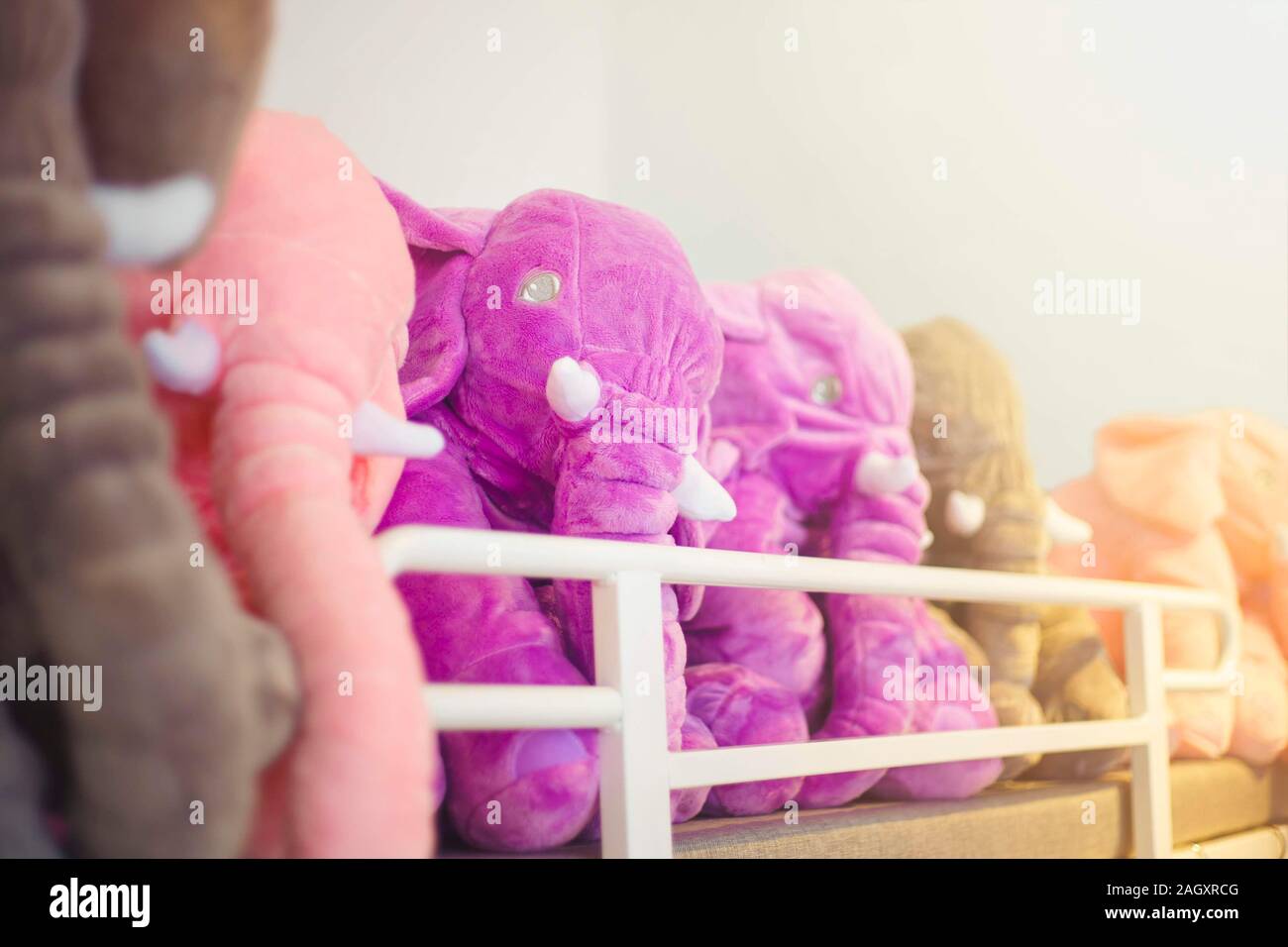 Soft plush pink toy elephant , shot on the store shelf. Stock Photo