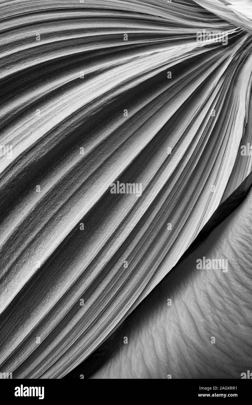Sandstone erosion hi-res stock photography and images - Alamy