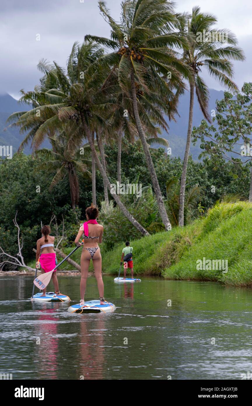 Paddle boarding hawaii hires stock photography and images Alamy