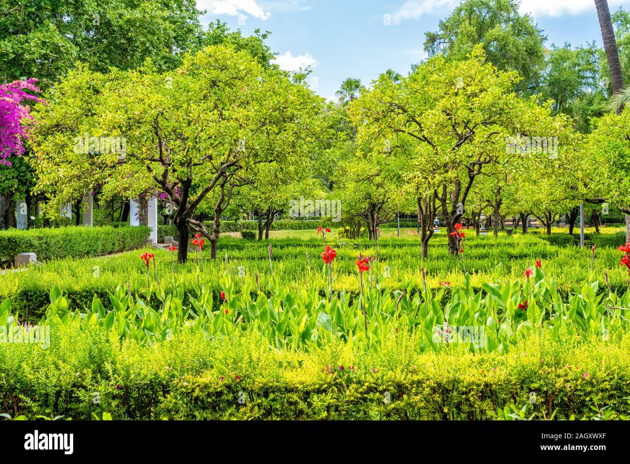 The Parque de María Luisa (María Luisa Park), famous public park in Seville, Andalusia, Spain. Stock Photo